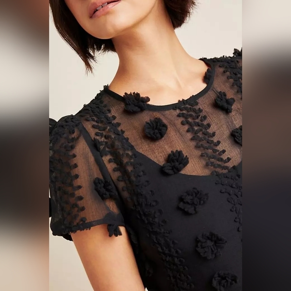 Anthropologie Sunday in Brooklyn Black Floral Appliqué Mini Dress - Picture 14 of 15
